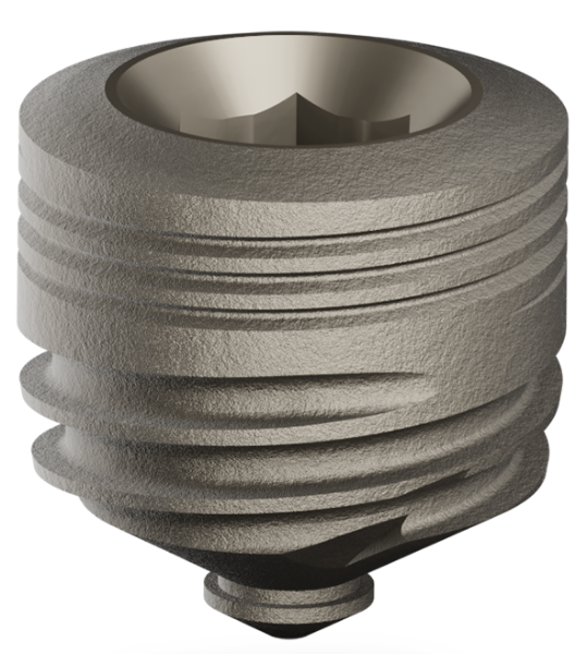 Ritter Implants Titan dental-implant-spiral-sbla-6mm-l-6mm