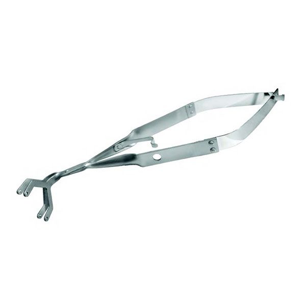 Picture of LASCHAL Contact-Breaking/Polishing Forceps, 15.3cm
