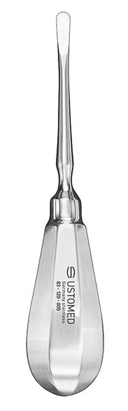 Picture of BEIN-LUXATOR, delicate, straight, 5mm Tip, 140mm