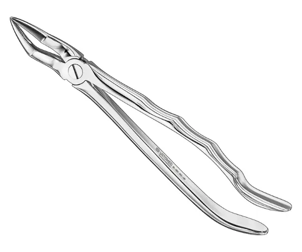 Picture of Extracting forceps, anat., sz.51A, nonslip