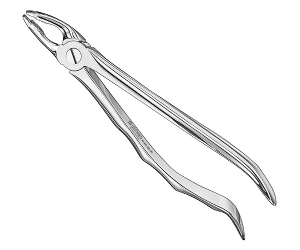 Picture of Extracting forceps, anat., sz.35, nonslip