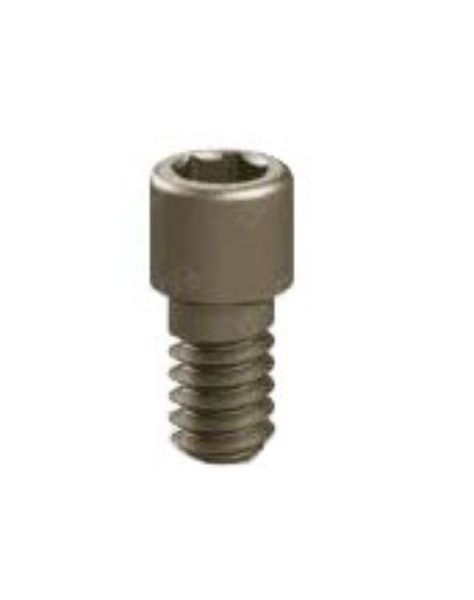 Picture of Classic Multi Unit Prosthetic Ti-Screw Hex 1.2mm (2 Pcs)