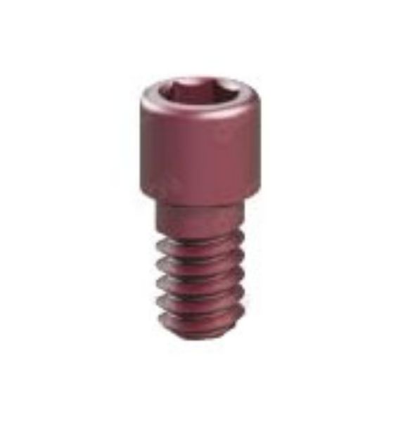 Picture of Multi-Clicq™ Prosthetic Ti-Screw CF - Hex 1.2mm - 2Pcs