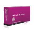 Picture of THEGraft™ Collagen - TCB-02