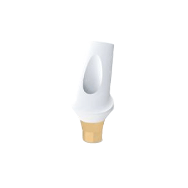 RITTDI-ZAA-NA-RP2530 Zircocam Angled Anatomic Zirconia Abutment NA-RP 25 / H 3mm