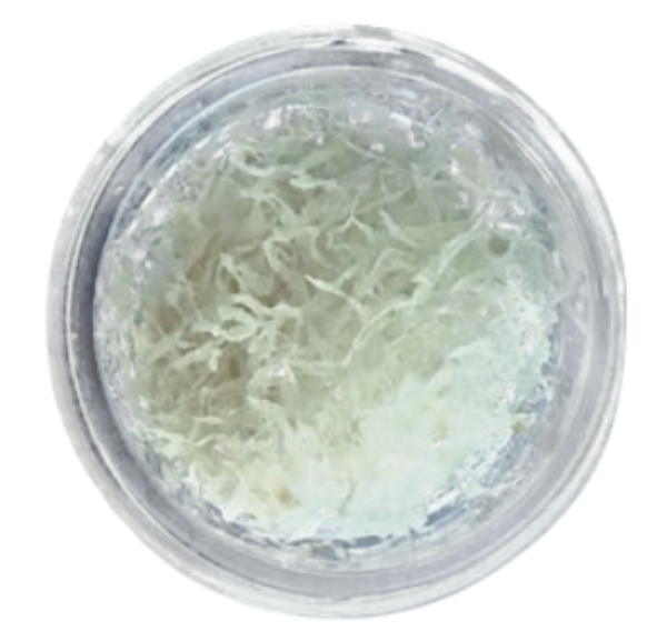 Ritter Implants Fibers 5cc RITTM-PRF-445050