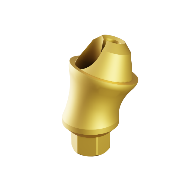 Ritter Implants Angled Multi Unit One Piece 17°/ 3mm Shoulder, concave RITTM-MU-KS1730-CNV