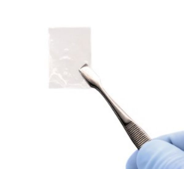 Picture of Amnion/Chorion 2x3cm