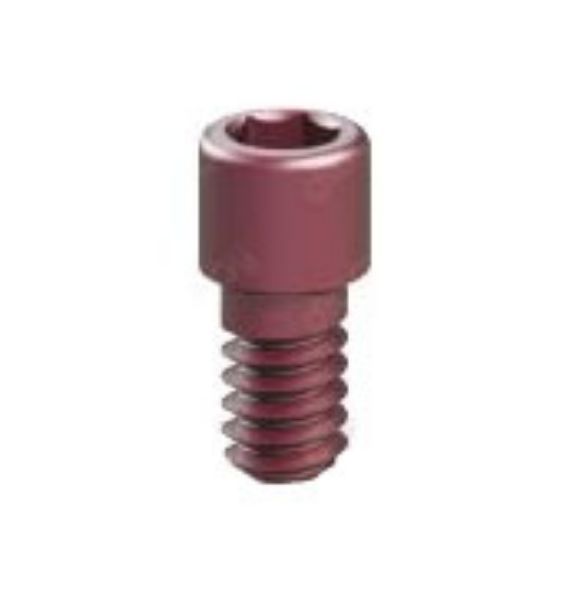 Picture of Multi-Clicq™ Prosthetic Ti-Screw SV Hex 1.29mm - 2Pcs