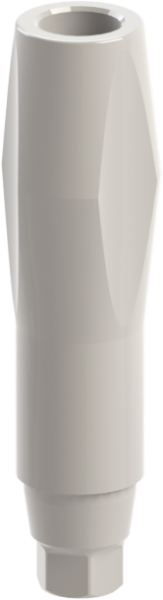 Ritter Implants Peek Scan Body GM-RP Short RITTDI-SB-GM-RP