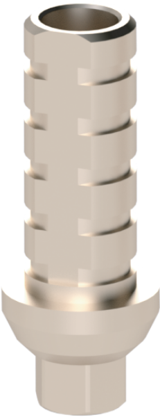 Ritter Implants Anti Rotational Temporary Titanium Abutment L: 8mm, Hex: 1.29mm Includes Screw RITTM-TTA-SV-RP