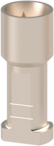 Ritter Implants Implant Replica / Analog NA-RP RITTDI-IA-NA-RP