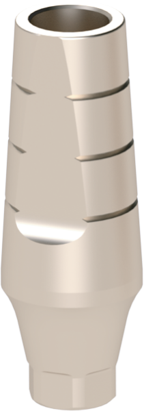 Ritter Implants Straight Ti-Abutment TS-RP Ø4.5mm L10mm RITTDI-SA-TS-RP