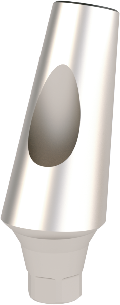 Ritter Implants Angled Standard Ti-Abutment TS-RP 25° RITTDI-TA-TS-RP2500