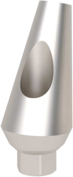 Ritter Implants Angled Standard Ti-Abutment SV-WP 25° RITTDI-TA-SV-WP2500