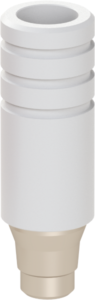 Ritter Implants Chromium Cobalt Base NA-NP / UCLA - Rotational RITTDI-ABZ-NA-NPCCR
