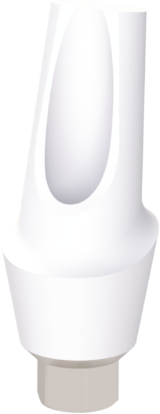 Ritter Implants Zircocam™ Angled Anatomic Zirconia Abutment SV-NP 15° / H 3mm RITTDI-ZAA-SV-NP1530