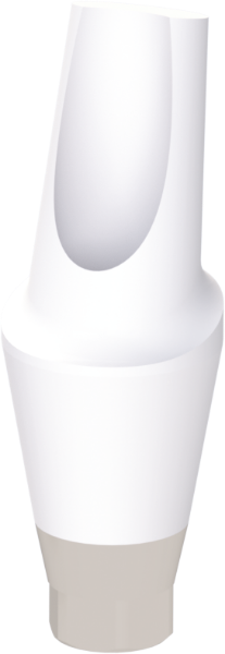 Ritter Implants Zircocam™ Angled Anatomic Zirconia Abutment TS-NP/Mini 15° / H 4.5mm RITTDI-ZAA-TS-NP1545