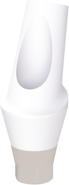 Ritter Implants Zircocam™ Angled Anatomic Zirconia Abutment TS-RP 25° / H 3mm RITTDI-ZAA-TS-RP2530