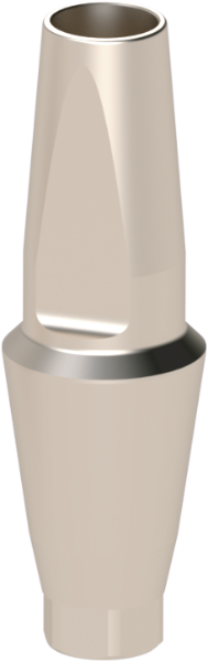 Ritter Implants Straight Ti-Abutment CF-NC D 4.8mm H 4.5mm RITTDI-TA-CF-NC45