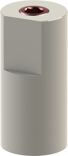 Ritter Implants Classic Multi Unit CAD/CAM Peek Scan Abutment (Dual Hex/Unigrip) RITTDI-MUL-NB-SBUG